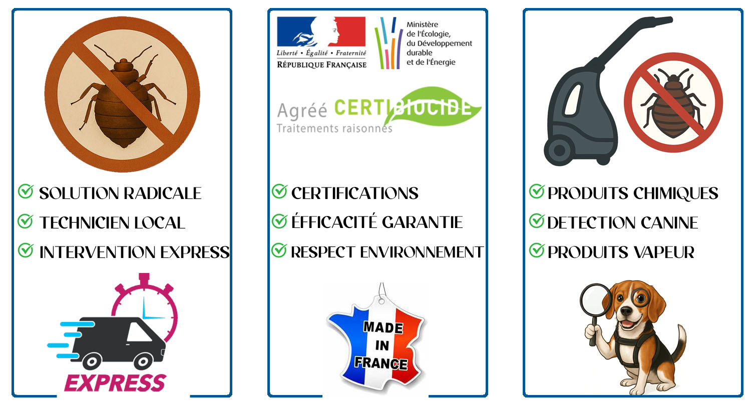 Punaises de Lit Gennevilliers